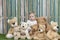 Baby girl with group of teddy bears, seated on grass