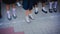 Baby girl legs in white golf and beautiful shoes are in the lineup on the school line on September 1. September 1 - line