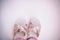 Baby girl pink sandals  on white background. Baby fashion pair pink sandals shoes for the toddlers feet