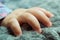 Baby girl`s hand close up. Toddler`s tiny fingers in the carpet.