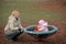 Baby girl on small carousel