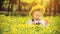 baby girl in wreath on meadow yellow flowers