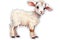Baby Goat Sticker On Isolated Tansparent Background, Png, Logo. Generative AI