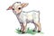 Baby Goat Sticker On Isolated Tansparent Background, Png, Logo. Generative AI