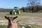 Baby goats  in a farm