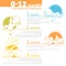 Baby growing up infographic.
