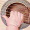 Baby hand and musical instrument guitar, close-up. Children fingers and an object on a white background