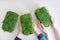 Baby hands and mother hands hold a microgreen plants in a trays. Top view