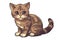 Baby Havana Brown Cat Sticker On Isolated Tansparent Background, Png, Logo. Generative AI