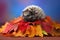 baby hedgehog seated atop pile of colorful autumn leaves