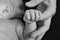 Baby holding finger of parent