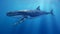 Baby Humpback Whale in Blue Water. A Baby Humpback Whale Plays Near the Surface. generative ai