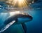 baby humpback whale near surface, tranquil blue ocean, playful moment, luminous water