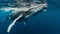 A Baby Humpback Whale Plays Near the Surface in Blue Water. Portrait from animal. AI Generative