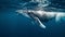 A Baby Humpback Whale Plays Near the Surface in Blue Water. Portrait from animal. AI Generative
