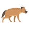 Baby hyena icon cartoon vector. Cute animal