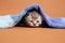 Baby kitten under a blue towel