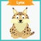 Baby learning cards with animal names. Learning to read. Educational game for children. Funny lynx.