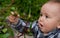 Baby looking at flower