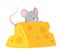 Baby mouse eating cheese flat vector illustration