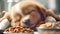 baby newborn dog is sleeping when eating. cute puppy close up portrait