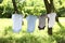 Baby onesies hanging on clothes line