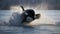 Baby Orca\\\'s First Breach in the Arctic Sea