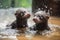baby otters playfully splashing and diving in water