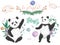 Baby panda collection. Cute little pandas. The illustrations are decorated with floral elements