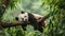 A baby panda napping on a tree branch