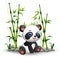 Baby panda sitting among bamboo stem