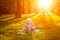 Baby in the park in the rays of sunset. Toddler on the nature outdoors. Backlight. Summertime family scene