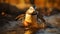 Baby Penguin Jumping Into Water: Dark Orange And Light Gold