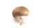 Baby Portobello Mushrooms on a White Background