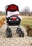 Baby in pram and two cats