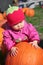 Baby Pumkin Patch