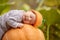 Baby with pumpkin hat sleeping on big orange pumpkin