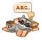 Baby Raccoon sleeps on books. Dreaming of a dream with letters. ABC. Childrens illustration. Nice. The baby animal fell