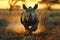 baby rhinoceros running .Generative Ai