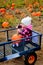 Baby riding in pumpkin patch wagon