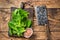 Baby romain green salad leaves on wooden cutting board. wooden background. Top view