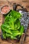 Baby romain green salad leaves on wooden cutting board. wooden background. Top view