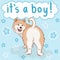 Baby it`s a boy greeting card with furry cute cartoon dog, funny pet akita on blue background with stars, editable vector