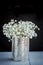 Baby\'s breath gypsophilia paniculata in old grunge vase on bla