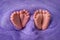 Baby`s feet on a lilac background, twins, place for text, birth of a child. Happy Family concept. Beautiful conceptual image of