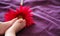 Baby\'s feet near a pink daisy.