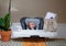 Baby\'s first Easter basket crying in high chair