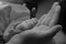 Baby\'s Hand in his father\'s palm