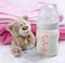 Baby\'s toy and bottle