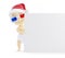 Baby santa hat blank 3d glasses